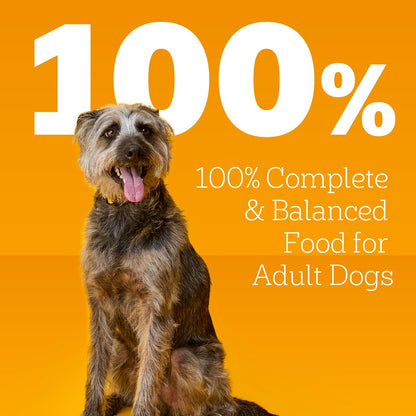 Pedigree Choice Cuts in Gravy Adult Canned Soft Wet Dog Food, Beef & Country Stew, 13.2 oz. Cans 12 Count, Pack of 1